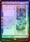 ��FOIL�ۡ����ۥ�����������������������������/Roll-Roll-Roll-Roll[��R]��HOB��