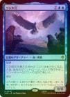 ��FOIL�ۡ����ۥ亮�β�/The Lord of the Eagles[��R]��HOB��