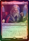 ��FOIL�ۡ�������������ȡ��С����/Balin, Loremaster[��R]��HOB��