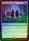 ��FOIL�ۡ�������Ⱦ�����������ޤ��٤�/Dancing from Dark to Dawn[��MR]��HOB��