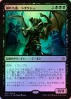 ���ò��ʡ������� ����EX����FOIL�ۡ������Ҥ줿�졢�饶������/Razaketh, the Foulblooded[��MR]��HOU��