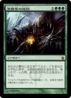 ���ò��ʡ�����EX��������ˡ̳��������/Praetor's Counsel[��MR]��MBS��