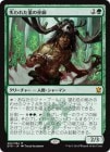 ���ò��ʡ�����EVG�������ۼ���줿�Ȥ����/Shaman of Forgotten Ways[��MR]��DTK��