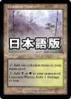 ���ò��ʡ�����GD�������ۥ�Υ��ιӸ�/Llanowar Wastes[����R]��APC��