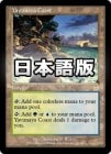 ���ò��ʡ�����VG�������ۥ�����ޥ�α��/Yavimaya Coast[����R]��APC��