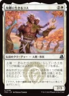 �����۸ζ��������륳��/Koth of the Homestead[��U]��FRA��