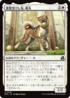 ����������������ͧ������/Yoshimaru, Beloved Companion[��U]��FRA��