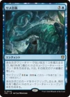 �����ۥ�������/Shark Typhoon[��R]��FRC��