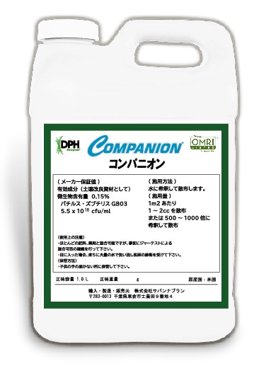 �֥���ѥ˥���ף�L��1��