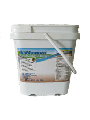 �֥ȡ�����ѥå���2270g�� x 1 ��