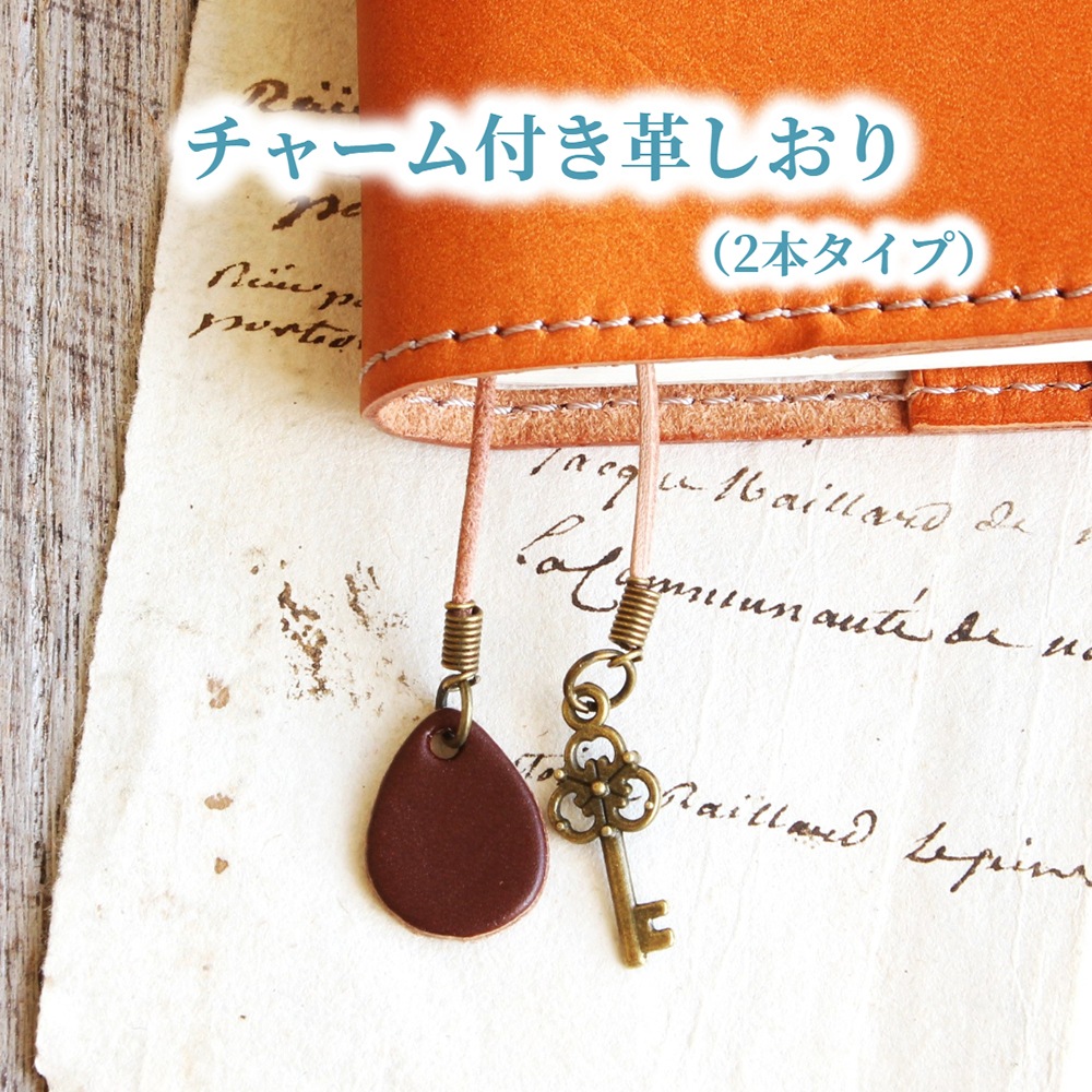 �ڥ�������ѡ��ġ� ���㡼���դ� �פ����� 2�ܥ����� �� ��Ģ���С��������ƥ��Ģ���ΤȰ��ˤ���ʸĺ���ȡ֤�����פ����ߤǤ��ޤ���