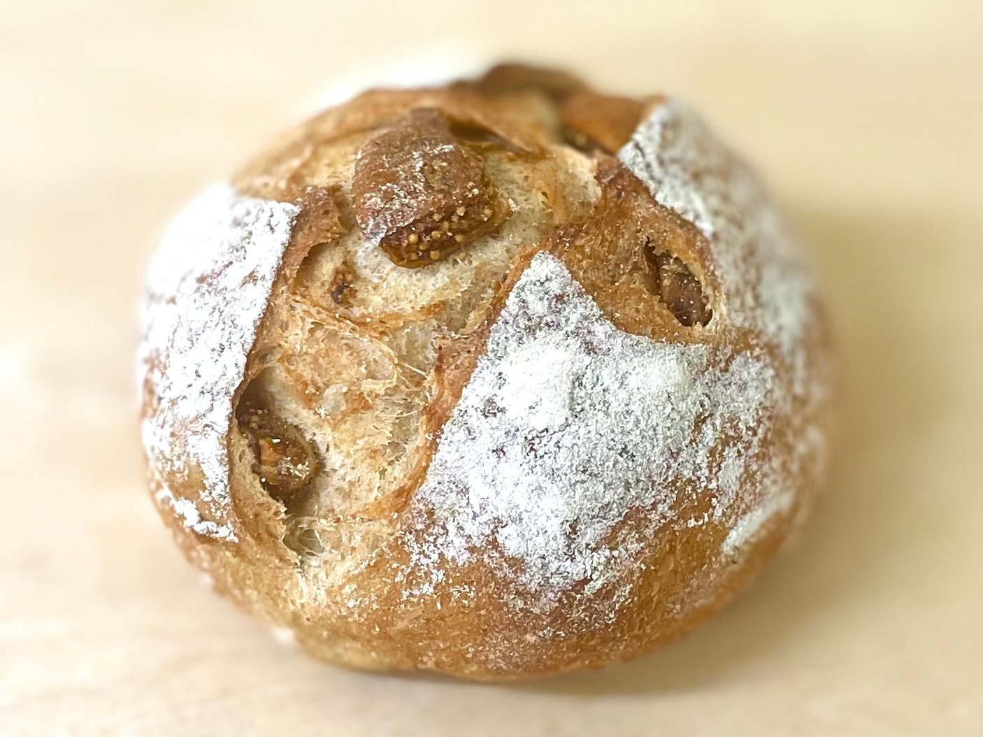 ��γʴ��������