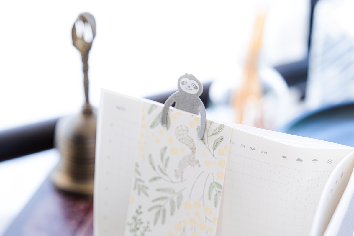 クリップファミリー［Clip Family］