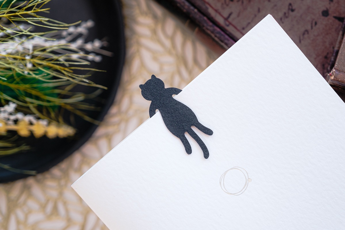 クリップファミリー［Clip Family］