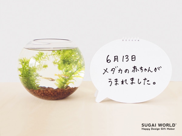 吹き出しノート［Speech Bubble Notebook］