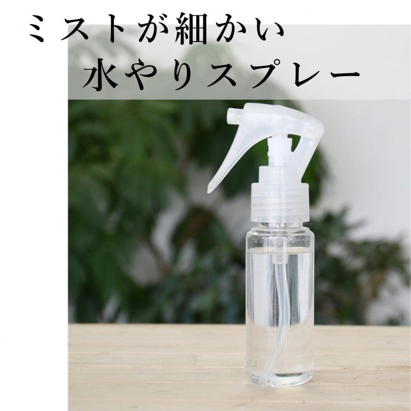 水やりスプレー|苔|苔や水草