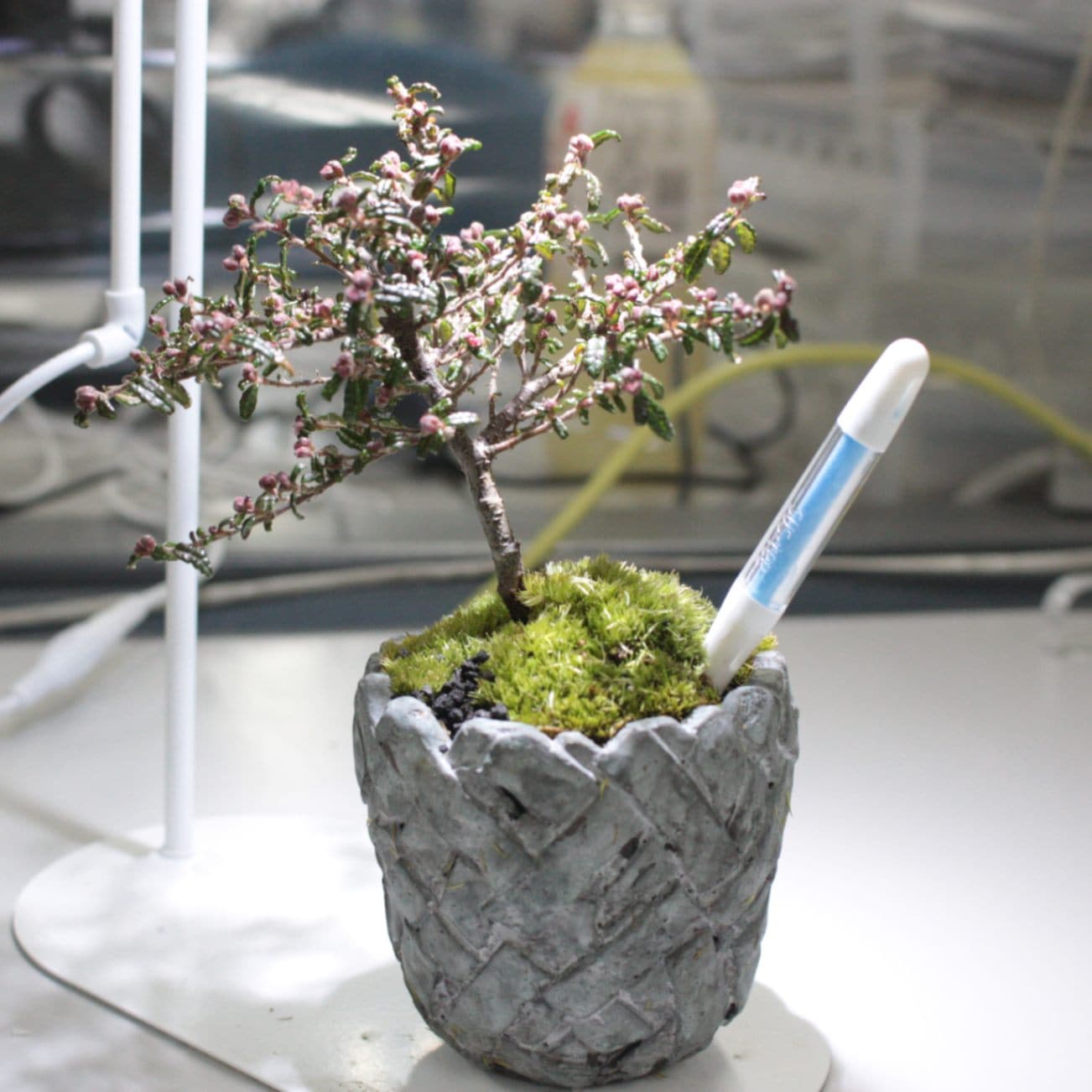 銀砂染付立梅花瓶 | 青木龍山窯