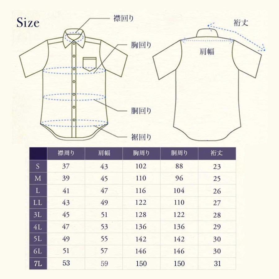 Ⱦµ�磻�����/���ְ���ù�/�Ρ���������/M-6L/6.��Υȡ���/2021fb-6