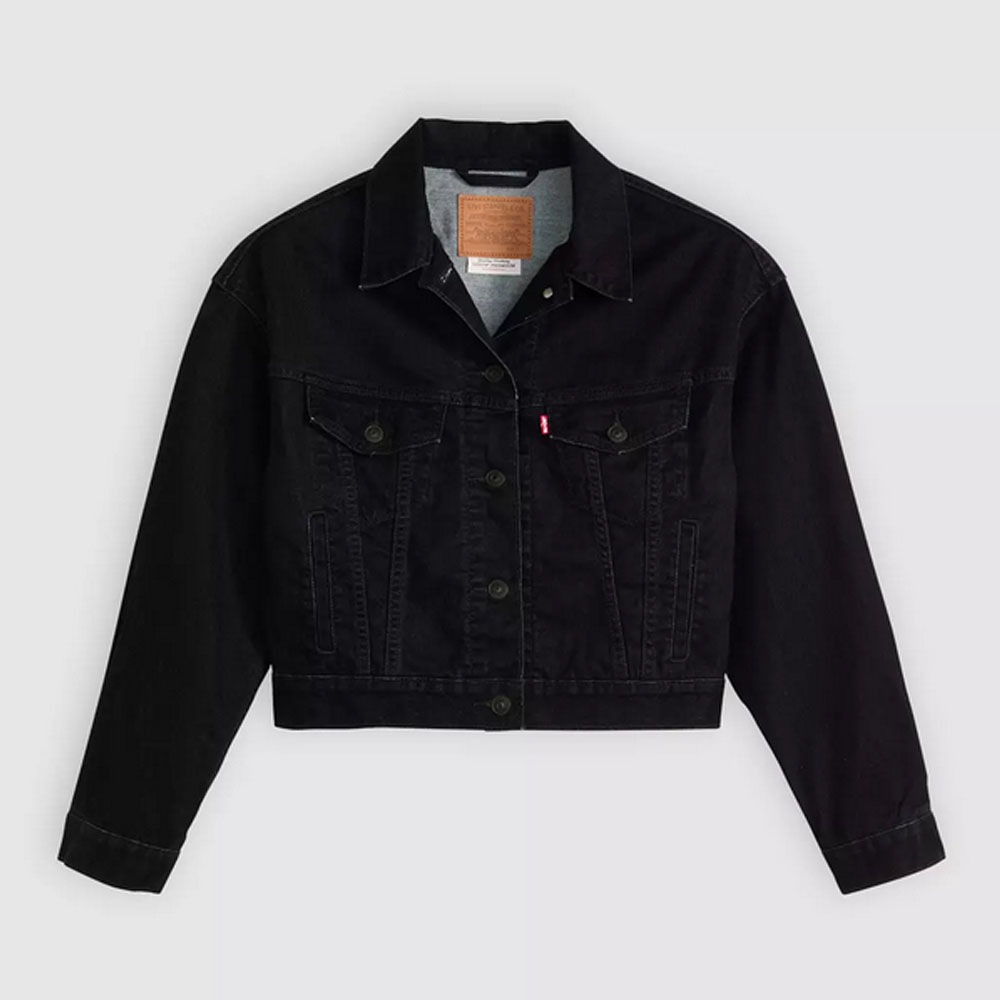 Levi's Premium （リーバイスプレミアム）SHRUNKEN 90S TRUCKER Birds Of A Feather ジャケット