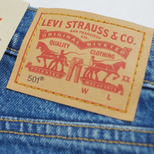 Levi's （リーバイス） 501 HIGH RISE SKINNY LEG Jive Tribe ハイライズスキニー