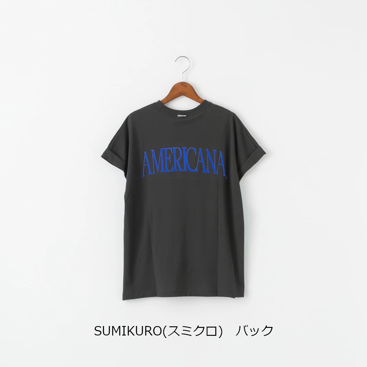 Americana アメリカーナ バックプリント Tシャツ AMERICANA 4色 BRF-M-822A