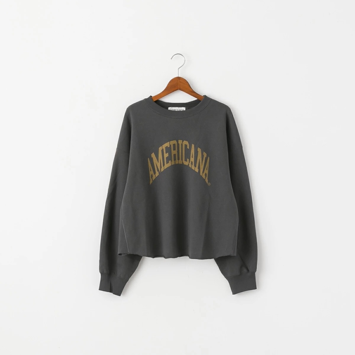 Americana アメリカーナ 14G 裏毛 クロップド カットオフ