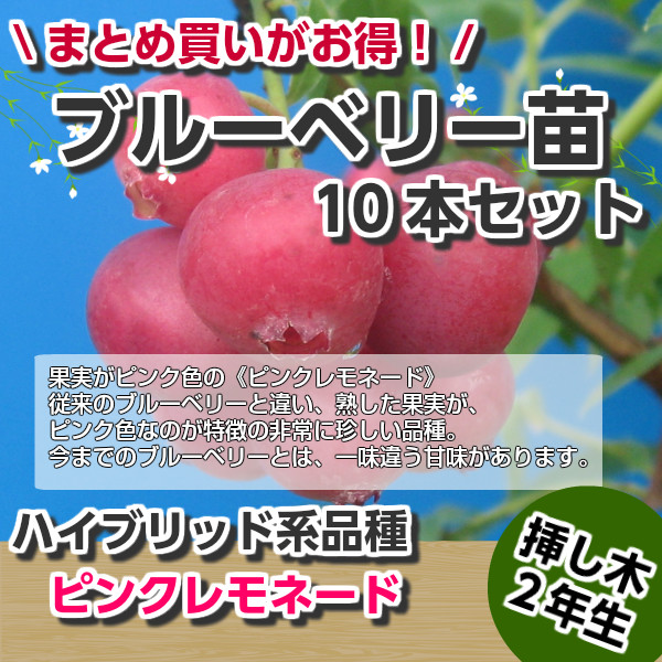 ͽ������ȯ����11����˥ԥ󥯥��͡��ɡ��֥롼�٥꡼�ޤ����ġ�10�ܥ��åȡ��ϥ��֥�å��ʼ�֥롼�٥꡼���ڡ��ޤ�����