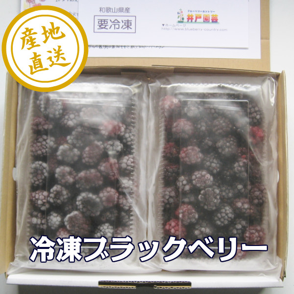 ����֥�å��٥꡼�ʥȥ�ץ륯�饦��̼¡ˡ�1Ȣ��400���2�ѥå���