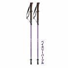 ʥ SINANO   TWIST 110 95-110cm ڥڥ꡼ ѡץۡ2ȡۥܥȥå󥰥ݡ եĥ  ޤꤿߥȥåڥڥ л ȥå󥰥ȥå ȥå󥰥ݡ ޤꤿ ȥ  |  ȥå лѥȥå л