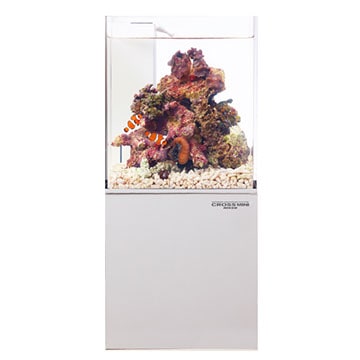 【レア品】ニッソー クロスミニ 小型オーバフロー水槽 (オマケ付) ニッソー クロスミニ～超小型オーバーフロー水槽で海水魚飼育