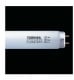 東芝 フィッシュルックス 10W(お取り寄せ)