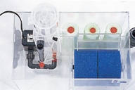 SCHURAN �ե��륿����å�R