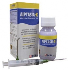 �����꡼�ζ���� �����ץ�����-X