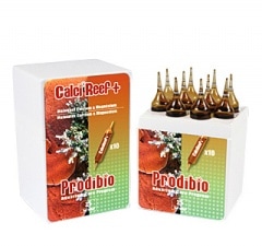 �����롪���ץ��ǥ��ӥ� �ϥ�������ƥ����ץ���� ���륷�꡼�ա� 10����