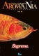 アロワニア VOL.10.