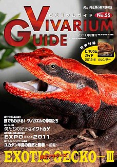 ビバリウムガイド 55号