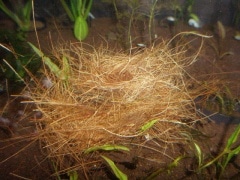 �����ˡ������䥷�ե����С�������