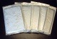 アロワナハンバーグ 育成用 100g