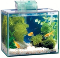 セール オールガラス水槽アクアスタイルS 3点フィルターセット（お一