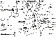 9150003 ½Û´Ä¥Ý¥ó¥×¡¡SQ-15SñÂΡ¡¥Î¡¼¥Ñ¥Ã¥±¡¼¥¸¥±¡¼¥·¥ó¥°ÉÕ¡¡