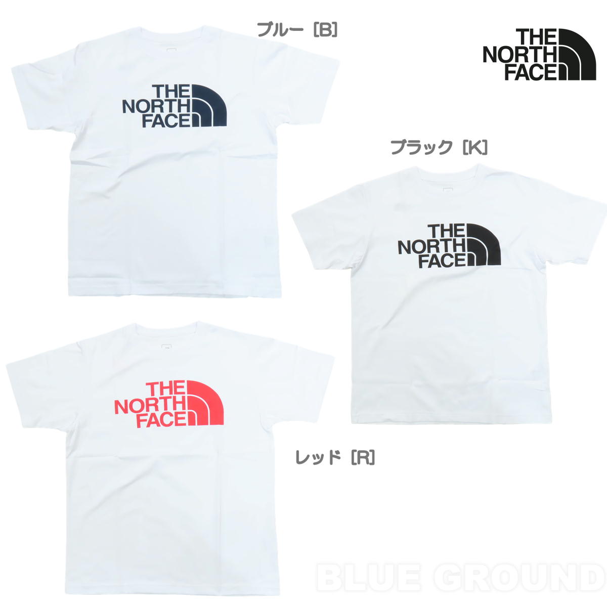 Ρե / ץTEE  եȥץ ɥ饤 T Ⱦ ȥå ϥ ȥɥ ֥  THE NORTH FACE NT31623