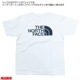 Ρե / ץTEE  եȥץ ɥ饤 T Ⱦ ȥå ϥ ȥɥ ֥  THE NORTH FACE NT31623