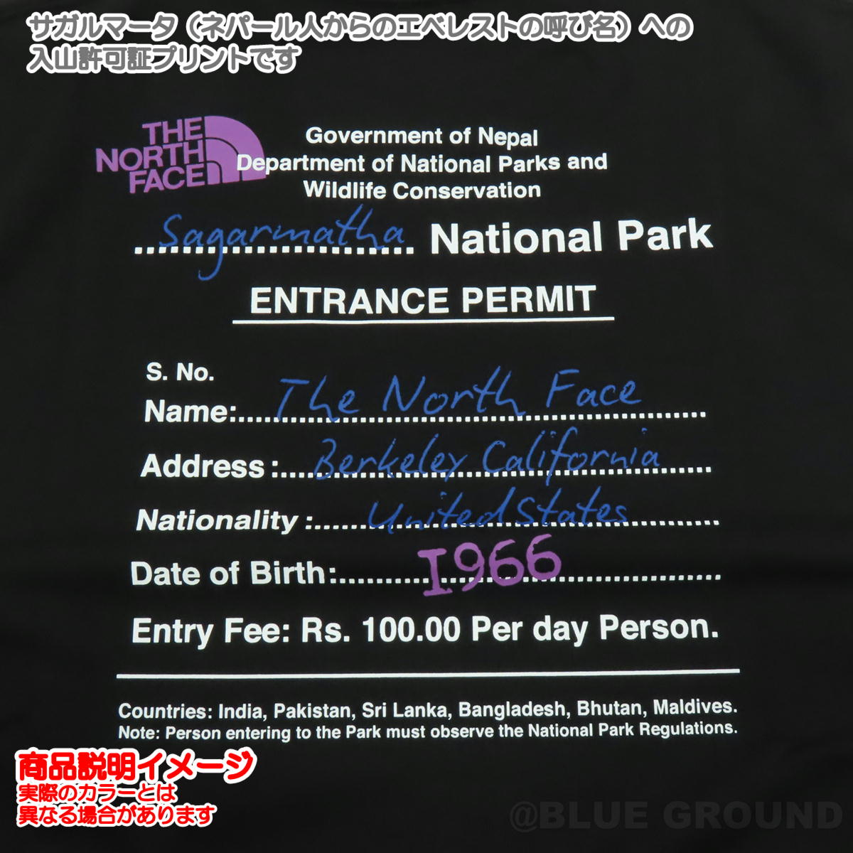 Ρե / ȥ󥹥ѡߥåTee   T T Ⱦ Хåץ ȥɥ ֥  THE NORTH FACE NT82539