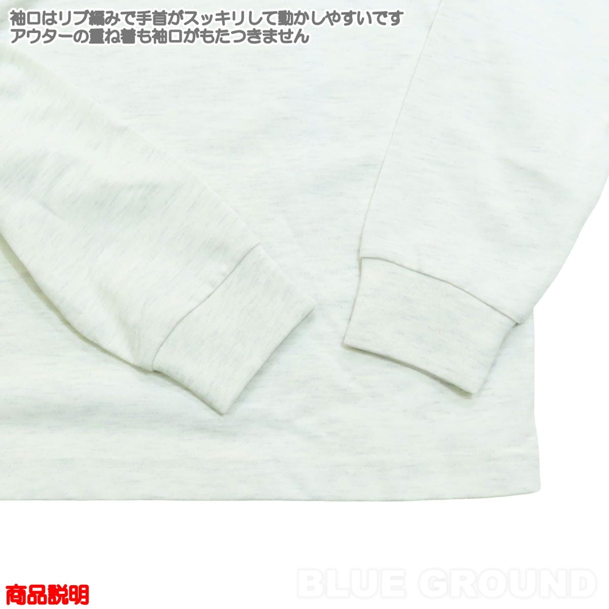 Ρե / LS Хå Tee ǥ  Ĺµ åȥ ɥ饤 ® Хåץ   THE NORTH FACE NTW32442