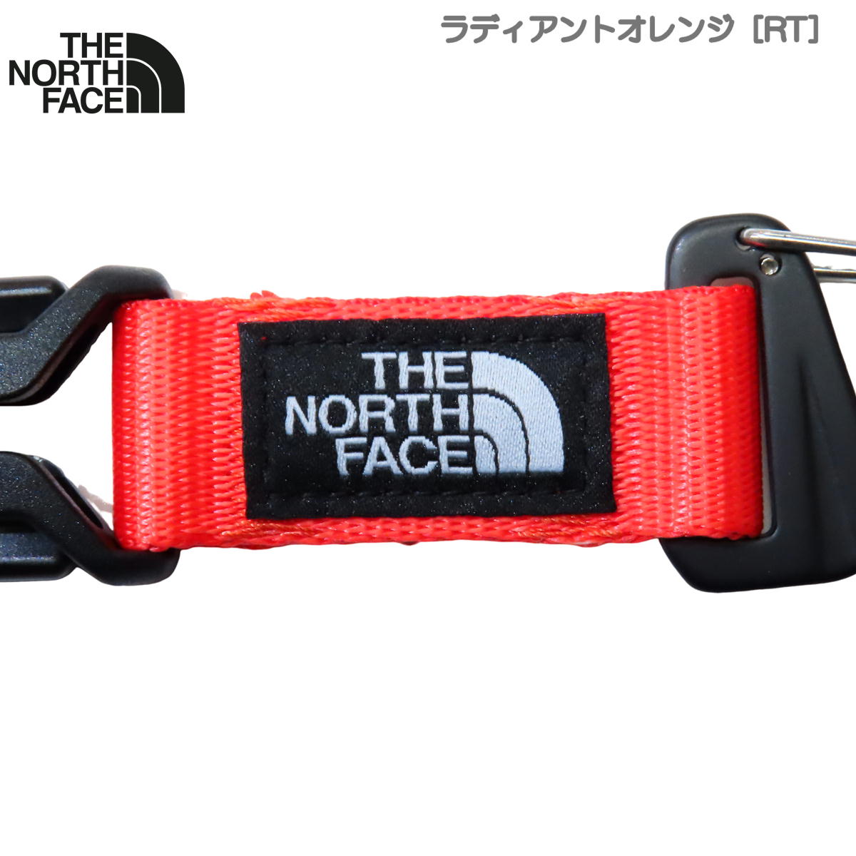 �����Ρ������ե����� / TNF���������ѡ����� �� �����ۥ���� ��� ����ӥ� ʬΥ �եå� THE NORTH FACE NN32435