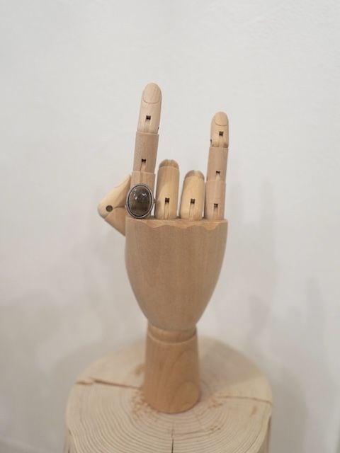 ＜Indian Jewelry＞petrified wood silver frame ring