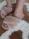 ＜select＞sheep fur sandal