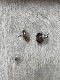 ＜Indian Jewelry＞pink conch shell silver pierce