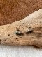 ＜Indian Jewelry＞bird Inlay pierce