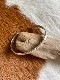 ＜Indian Jewelry＞plane silver bangle